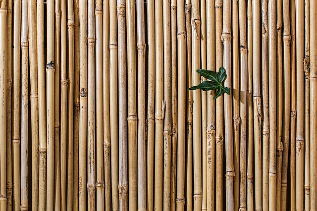 Zboží z bambusu
